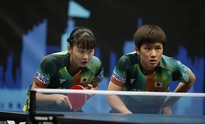 增添亮丽的 增添亮丽的