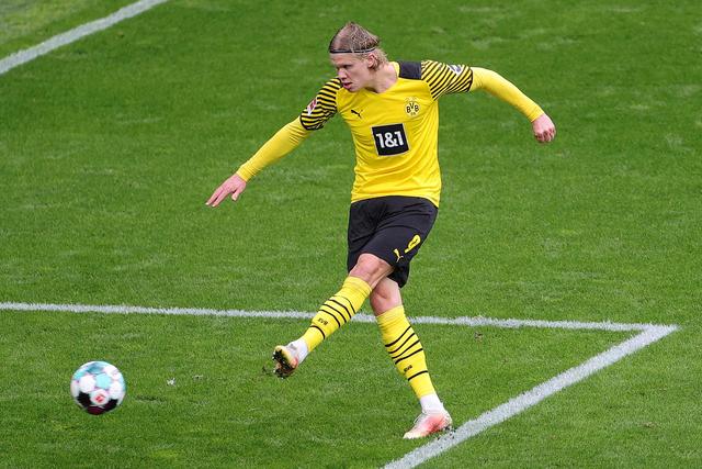 这一独特的 这一独特的